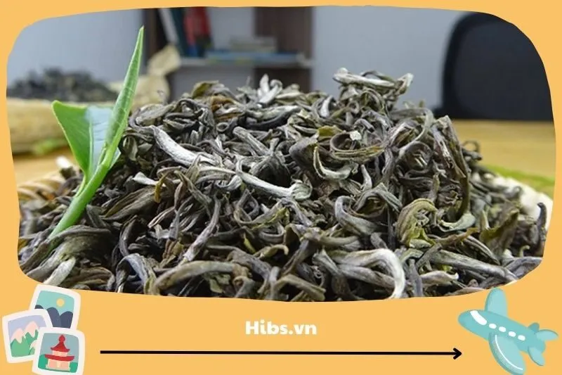 Chè Shan tuyết cổ thụ Suối Giàng