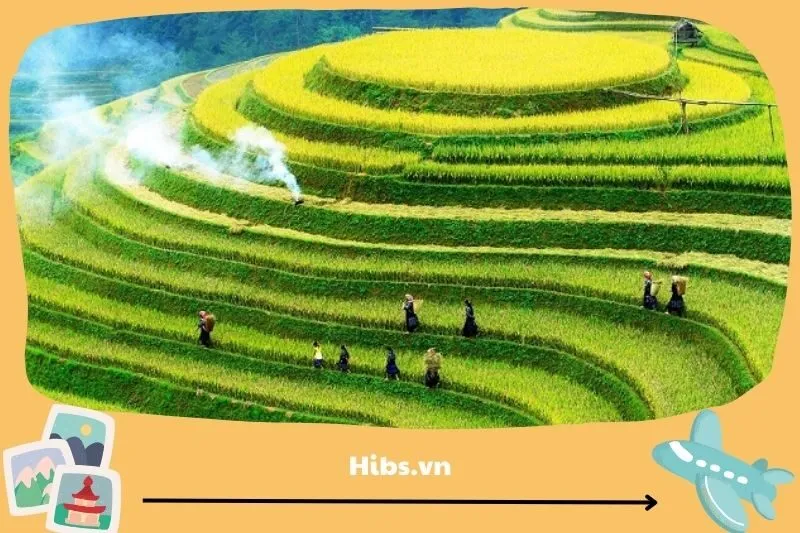 Mù Cang Chải – Kỳ quan ruộng bậc thang đẹp nhất Yên Bái