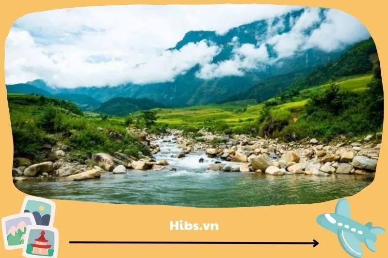 Suối Giàng và rừng chè cổ thụ trên 100 năm tuổi