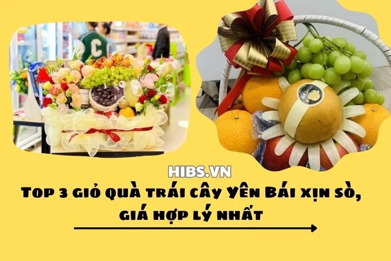 Top 3 giỏ quà trái cây Yên Bái xịn sò, giá hợp lý nhất