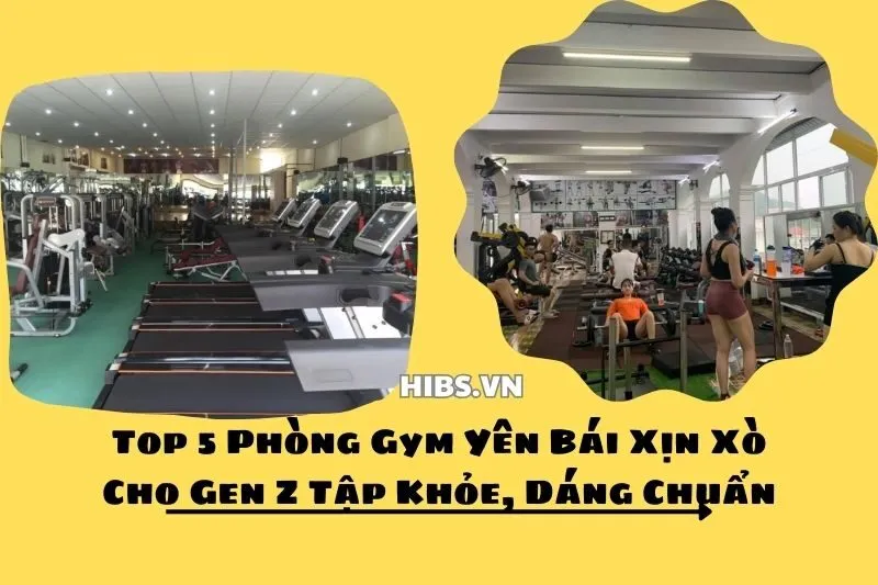 Top 5 Phòng Gym Yên Bái Xịn Xò Cho Gen Z Tập Khỏe, Dáng Chuẩn