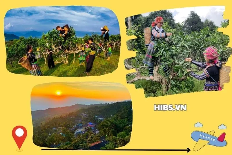 Ẩm Thực Suối Giàng