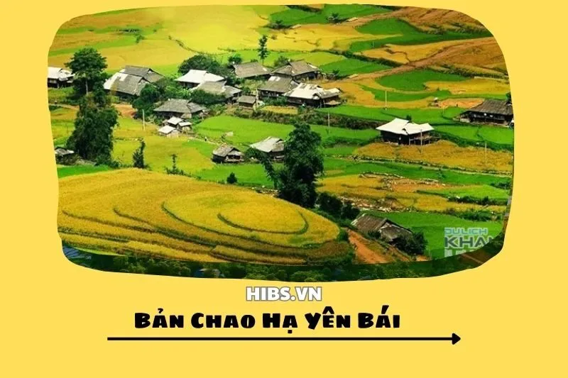 Bản Chao Hạ Yên Bái 2025_ Trải Nghiệm Cuộc Sống Bình Dị và Thiên Nhiên Tuyệt Vời