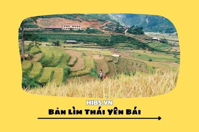 Bản Lìm Thái Yên Bái 2025_ Khám Phá Văn Hóa và Thiên Nhiên Tuyệt Vời