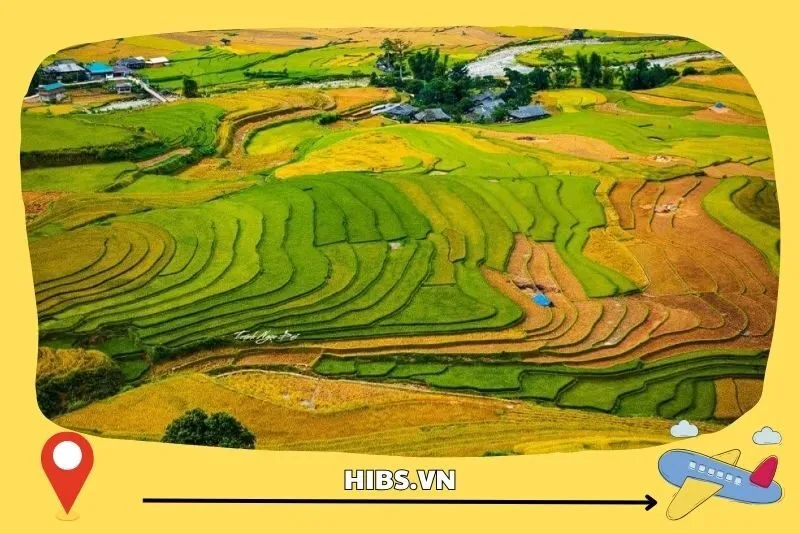 Các Món Ăn Đặc Sản Mường Lò Mà Du Khách Không Thể Bỏ Qua