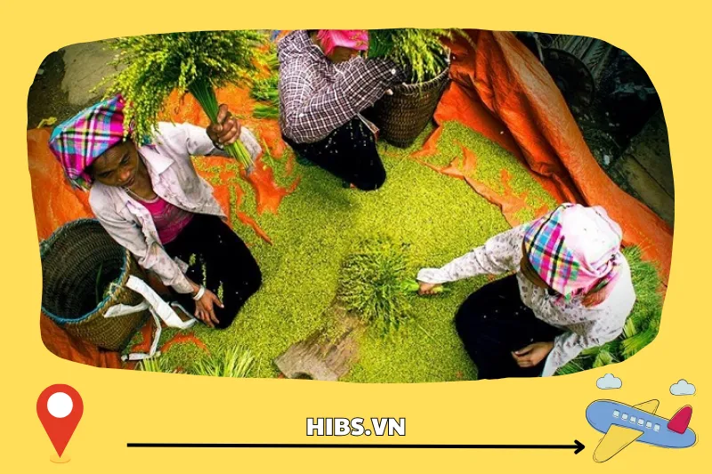 Hương Vị Của Cốm Tú Lệ Có Gì Khác Biệt?