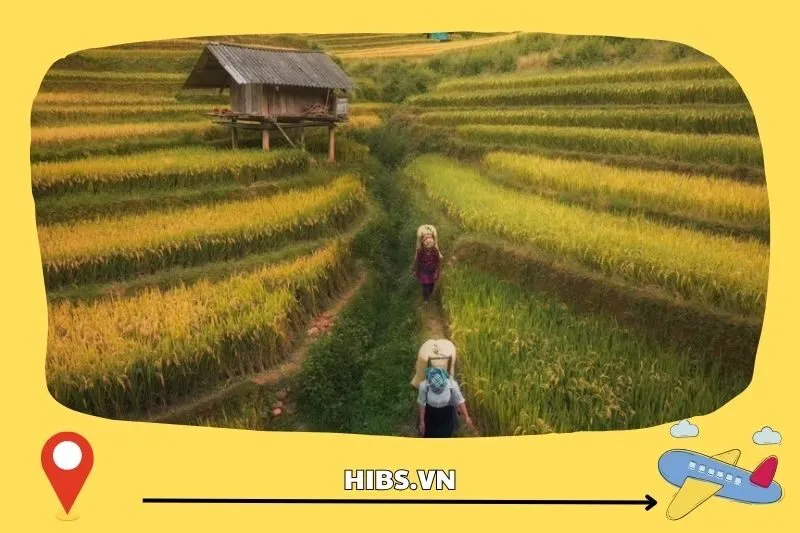 Kinh Nghiệm Du Lịch Mường Lò Yên Bái