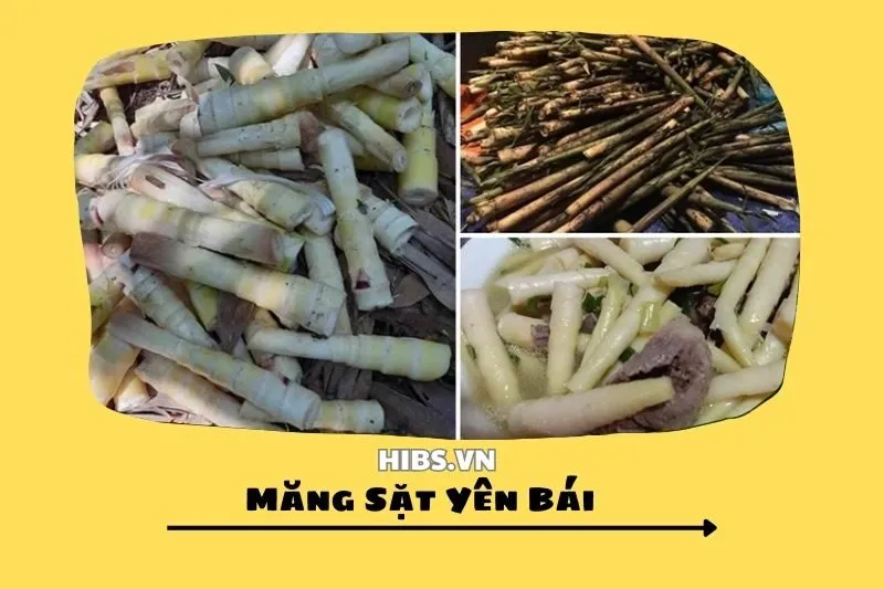 Măng Sặt Yên Bái 2025 – Đặc Sản Núi Rừng & Cách Chế Biến