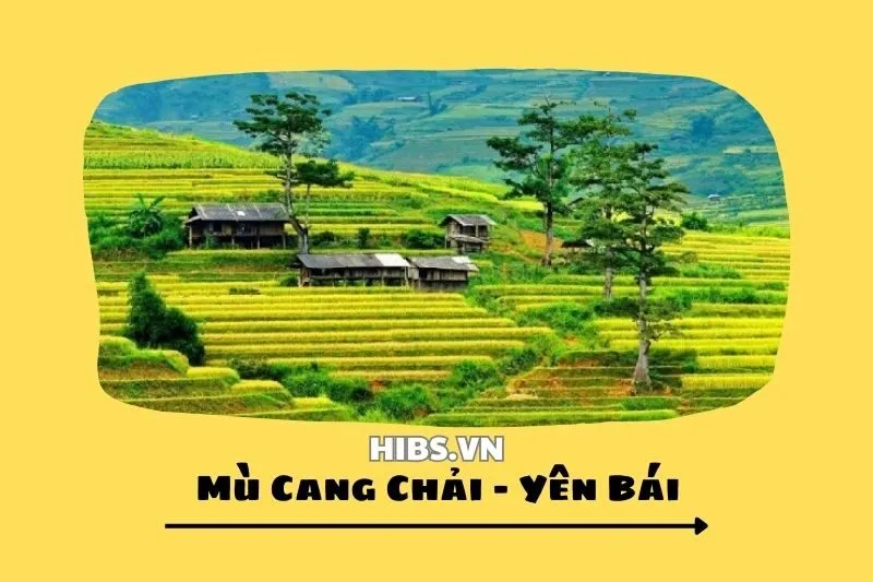 Mù Cang Chải Yên Bái 2025