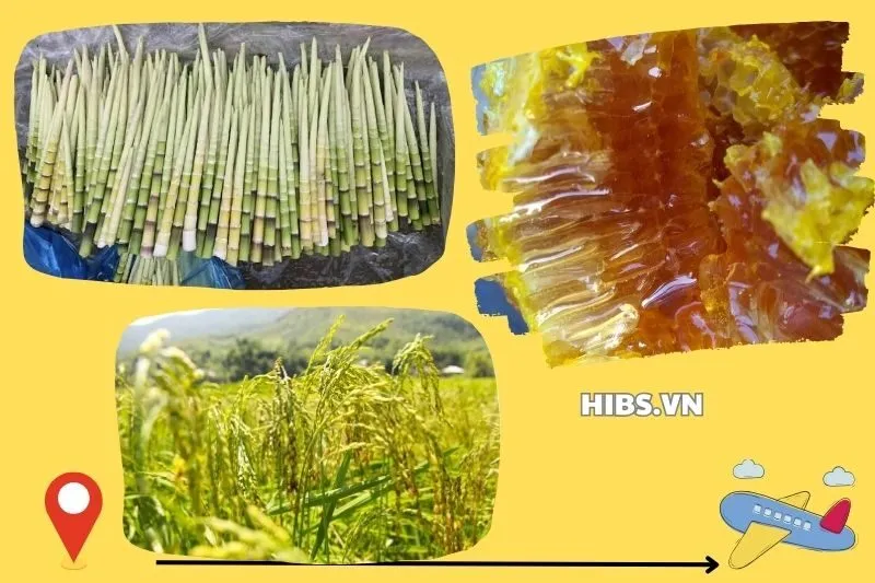 Mua Quà và Đặc Sản Tại Thung Lũng Tú Lệ Yên Bái