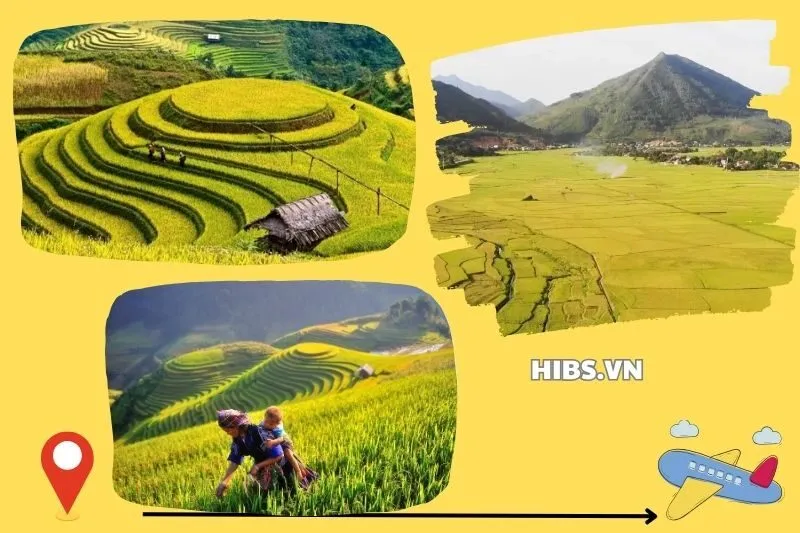 Những Cảnh Đẹp Hấp Dẫn Ở Cánh Đồng Mường Lò