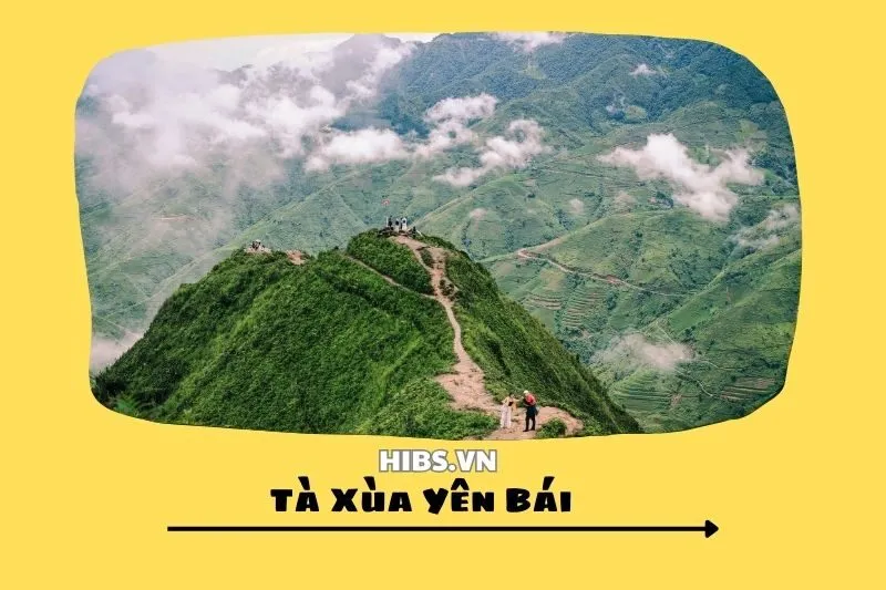Tà Xùa Yên Bái 2025_ Kinh Nghiệm Du Lịch và Trekking Chinh Phục Đỉnh Núi