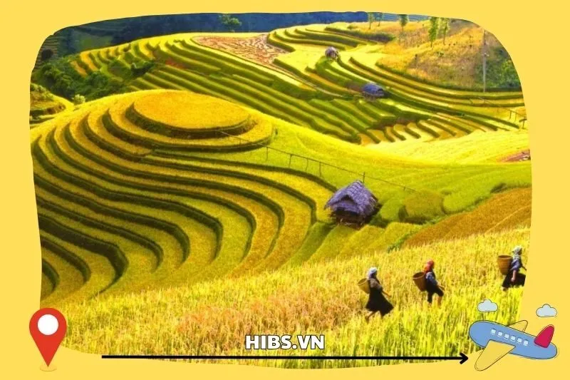 Tham Gia Lễ Hội Dù Lượn Mùa Lúa Chín