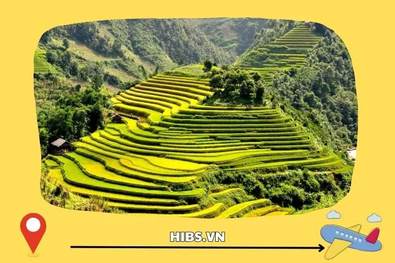 Tổng Quan Về Thung Lũng Tú Lệ Yên Bái